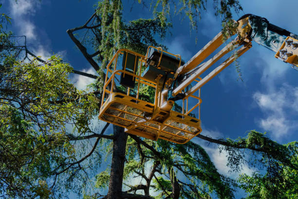 Best Hazardous Tree Removal  in Dunnstown, PA